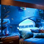Aquarium Bed 4