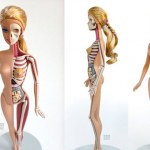 Barbie Anatomy 10