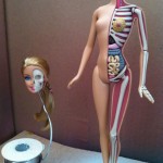 Barbie Anatomy 6