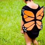 Butterfly Baby Costume 3