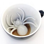 Spider Cup